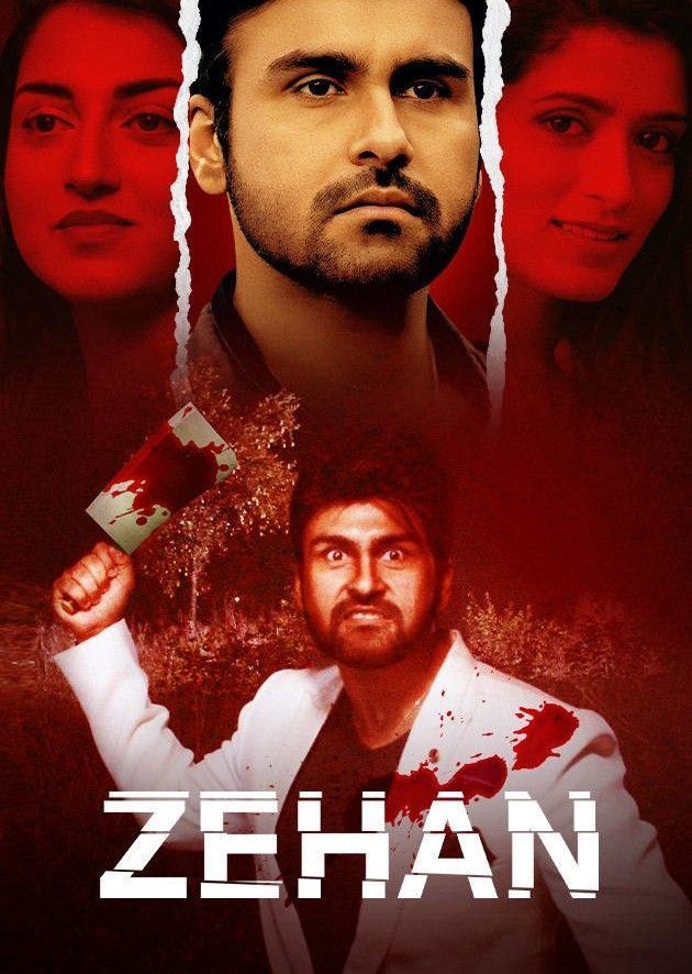 Zehan (2024) Hindi ORG HDRip Full Movie 720p 480p